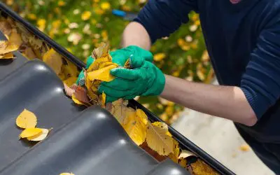 Autumn Ready: Your Essential Fall Home Maintenance Checklist