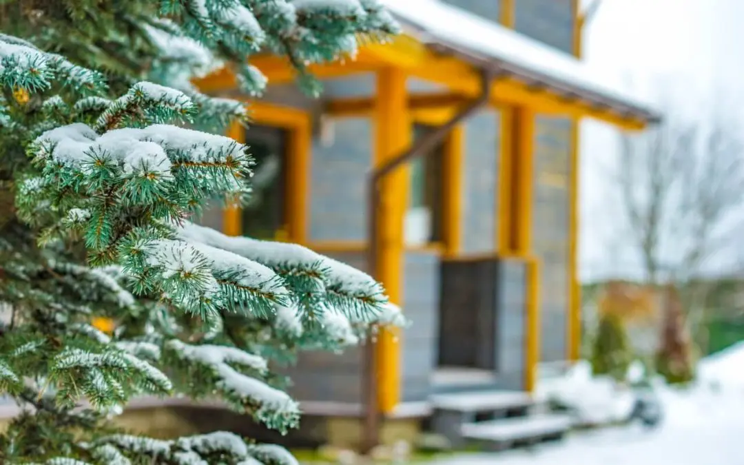 Winter Wins: Smart Ways to Save Energy Without Sacrificing Comfort