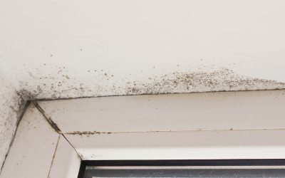 6 Tips Prevent Mold Growth at Home