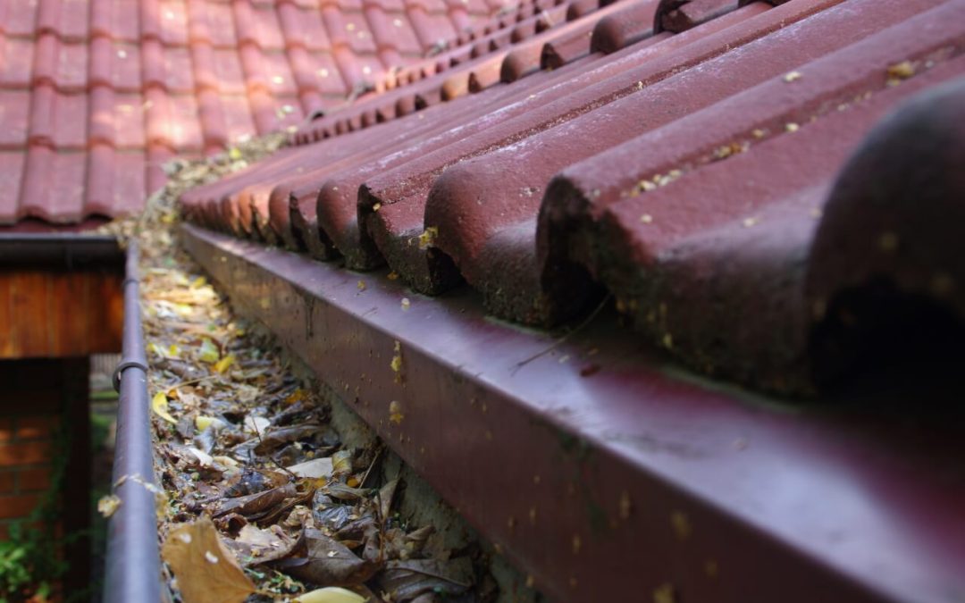cleaning gutters at home