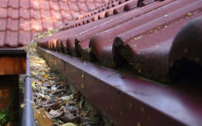10 Tips and Tricks for Cleaning Gutters at Home